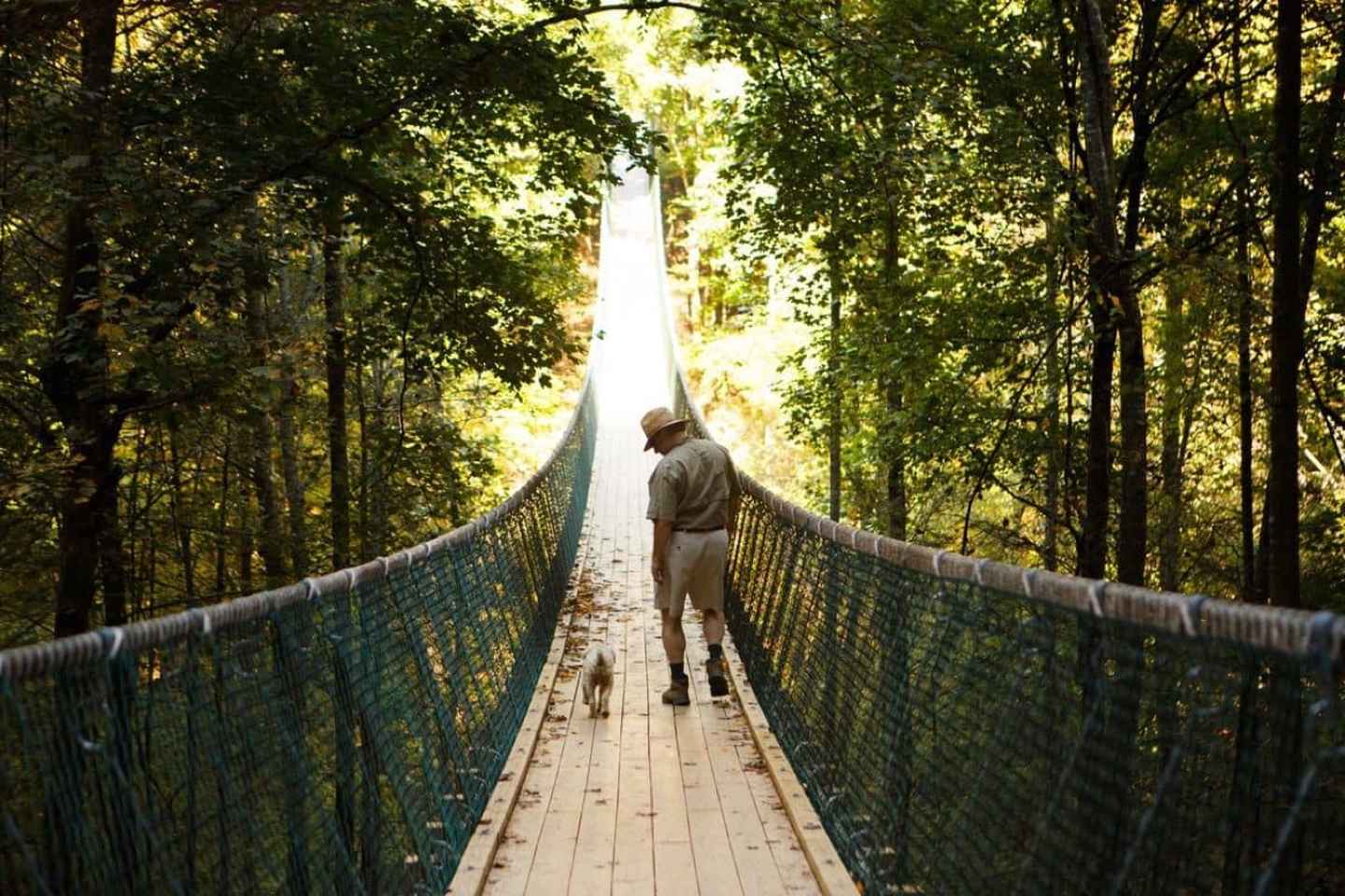 Foxfire Mountain: Hiking & Swinging Bridge Family Adventure thumbnail